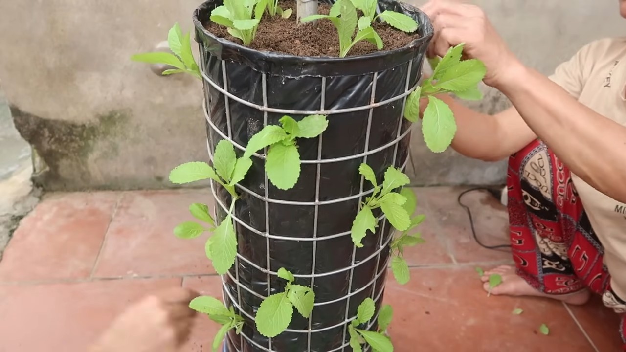 DIY Vertical Garden Watering