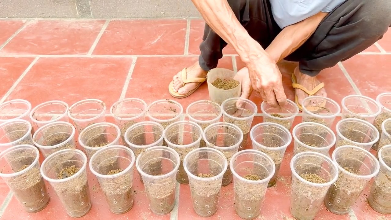 Indoor vegetable gardening