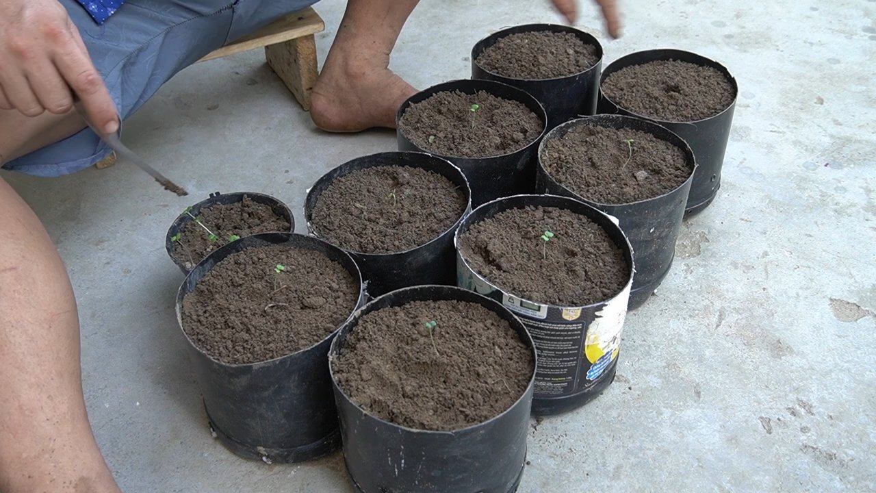 DIY balcony garden