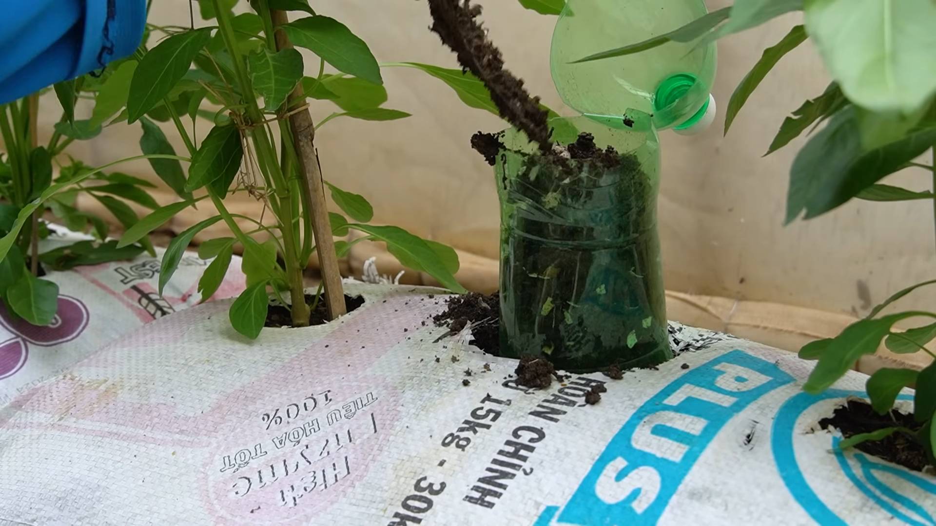 Soil bag chili trick