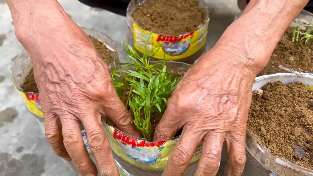 Water saving gardening tips