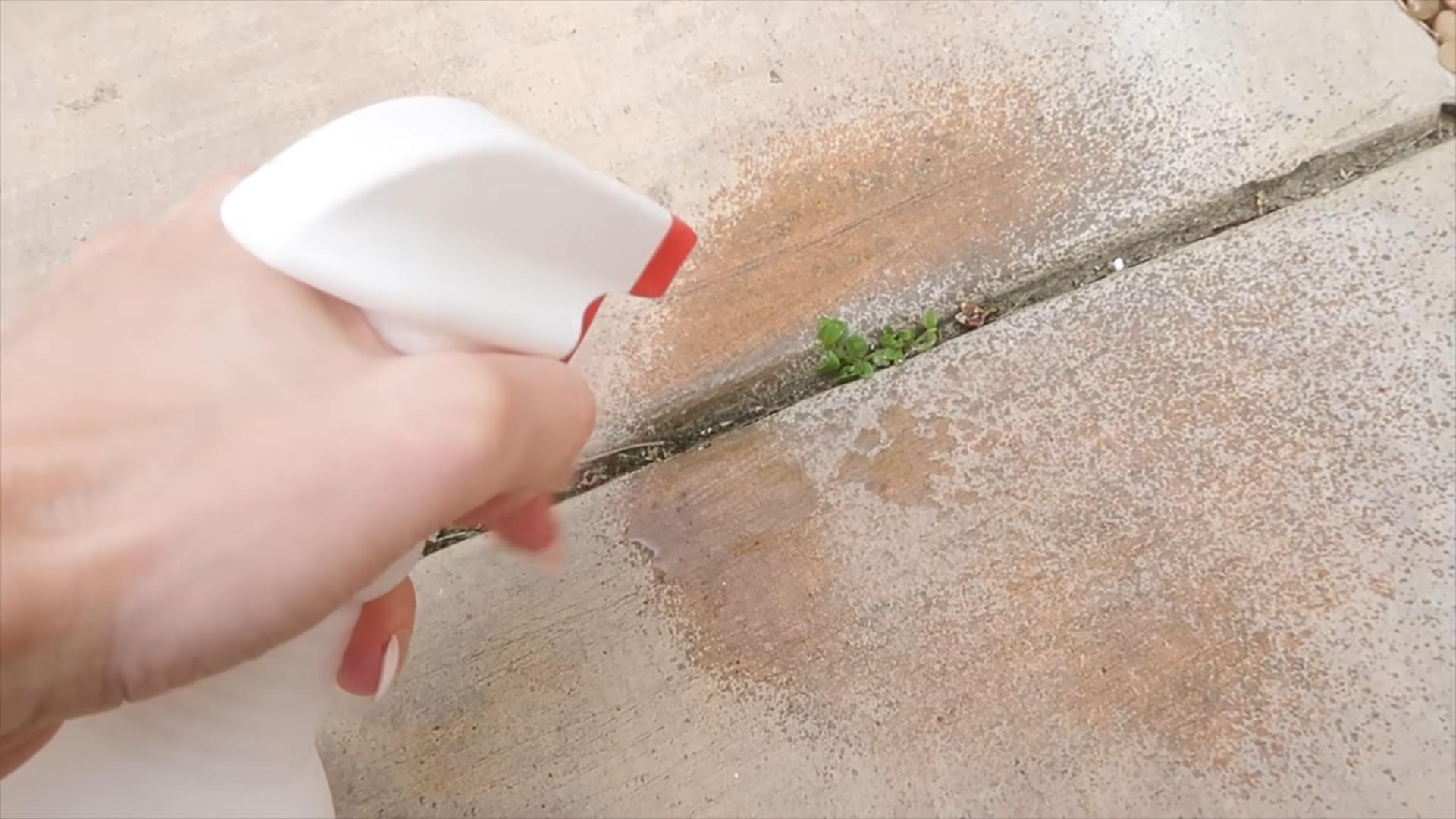 Dawn dish soap tricks