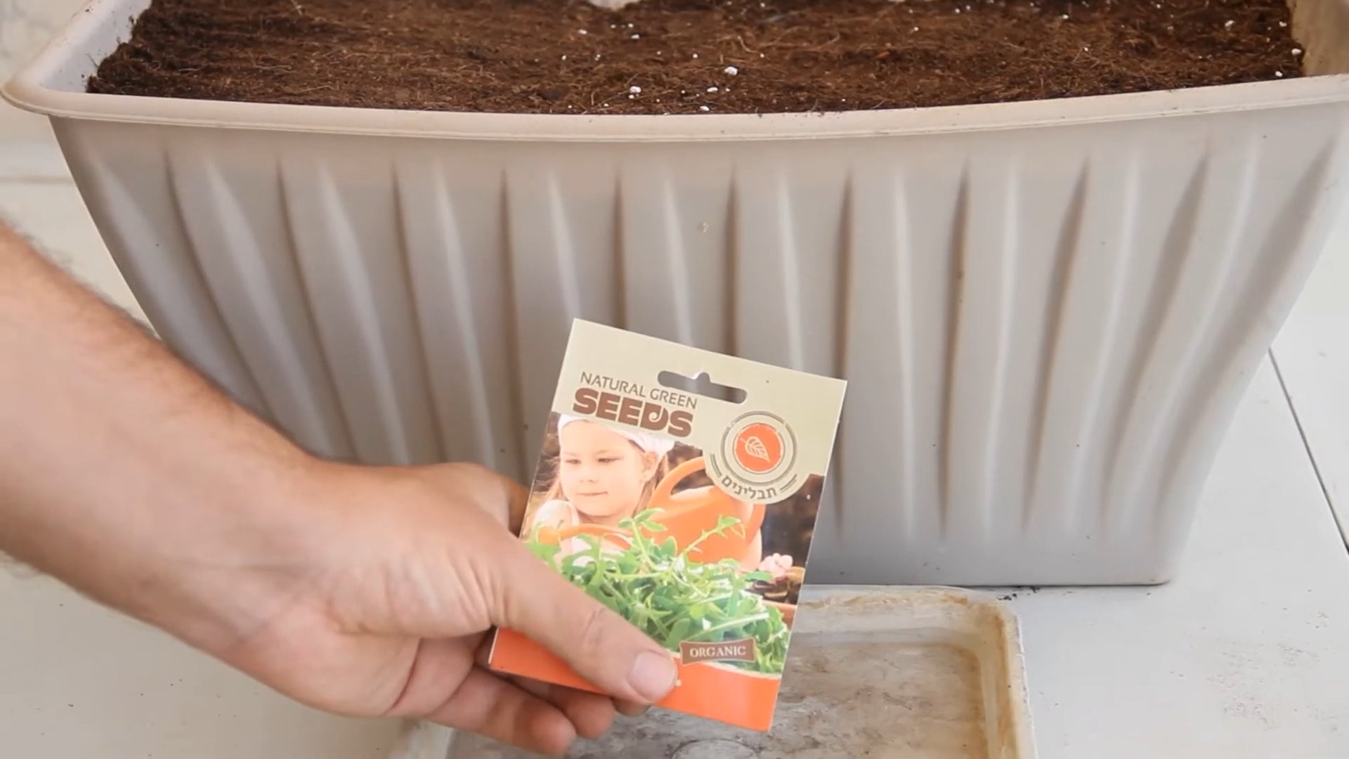 Growing Arugula Indoors