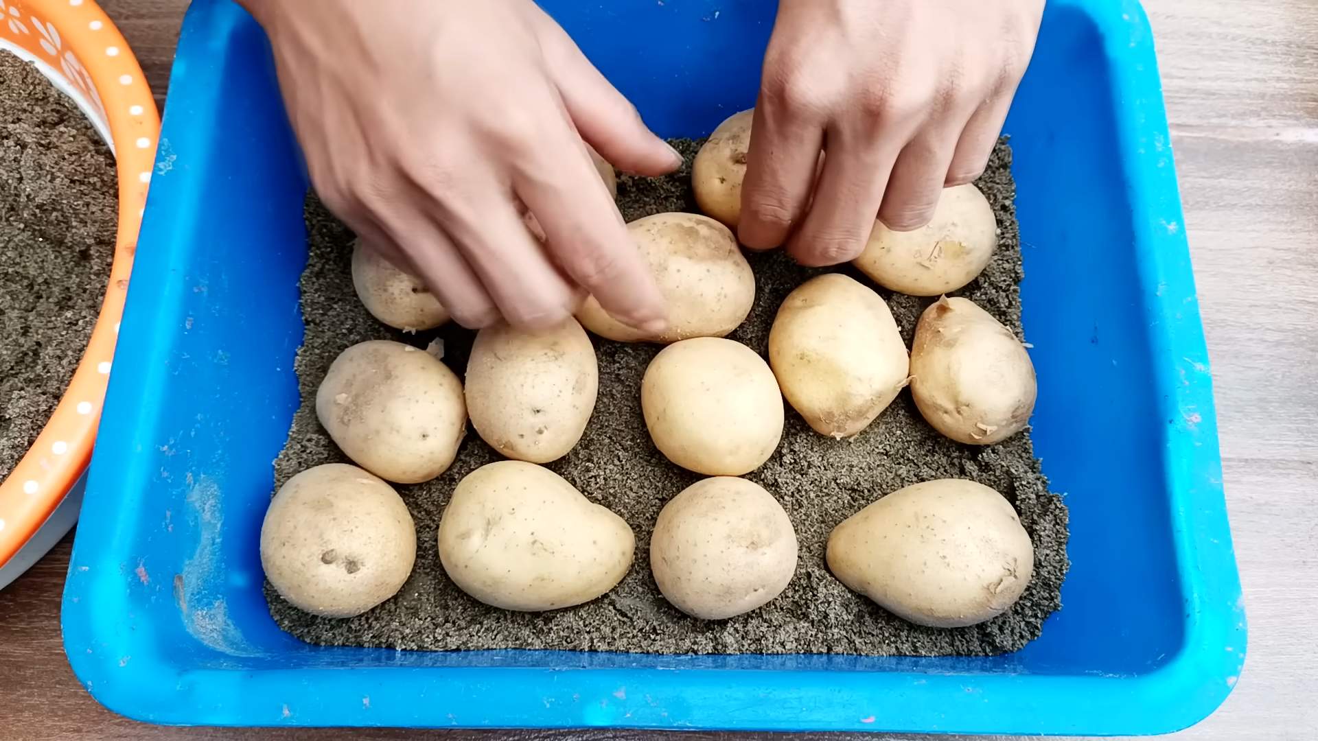 Rooftop Potato Growing DIY